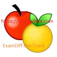 ExamDiff Pro 14.1.0.8 Crack Crack
