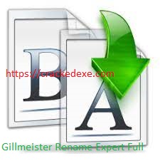 Gillmeister Rename Expert Full 5.28.2 Crack