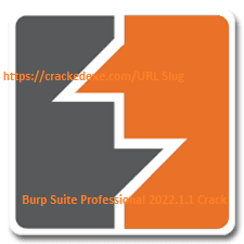 Burp Suite Professional 2022.1.1 Crack 