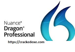 Nuance Dragon Professional Individual 15.61.200.010 Crack