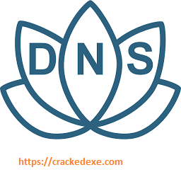 YogaDNS Pro 1.42 License Key & Crack